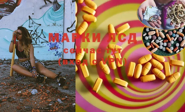 ГАЛЛЮЦИНОГЕННЫЕ ГРИБЫ Алексин