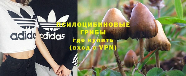 эйфоретик Алзамай