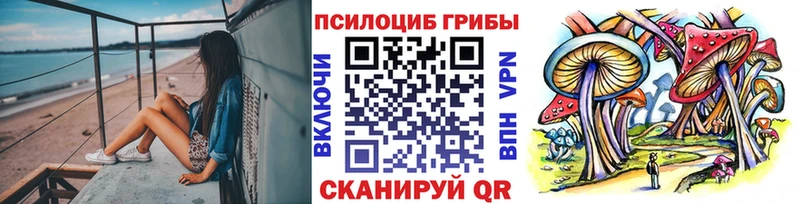 Псилоцибиновые грибы мухоморы  KRAKEN зеркало  Дзержинский 