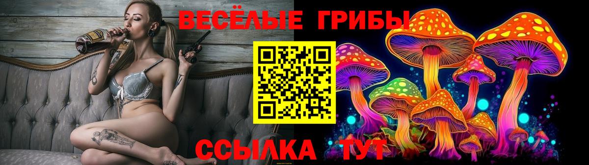 закладка  Галлюциногенные грибы прущие грибы  Галлюциногенные грибы MAGIC MUSHROOMS  Вход с VPN  Дзержинский 