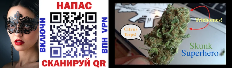 Бошки марихуана THC 21%  Дзержинский 