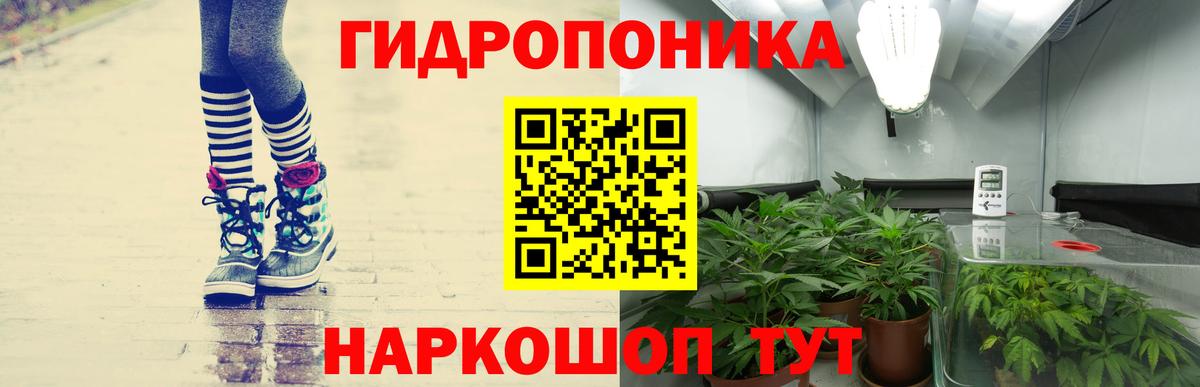 Канабис OG Kush  Бошки марихуана гибрид  Дзержинский  Конопля VHQ  Вход с VPN 